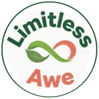 Notario Público Public Notary LimitlessAwe